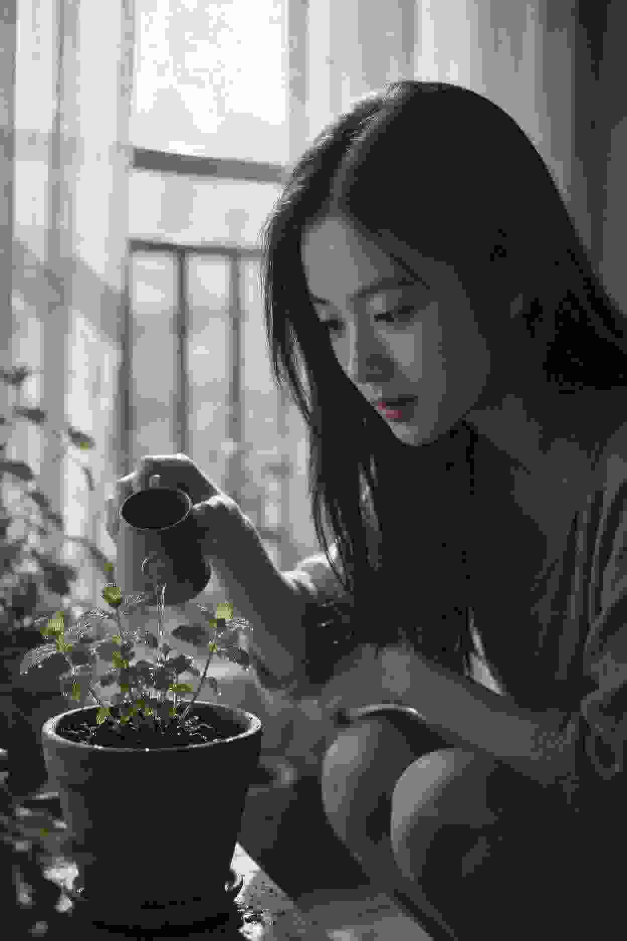 动画作品